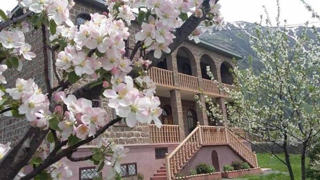 Max Hotel Gogi Alibegashvili Kazbegi Luaran gambar