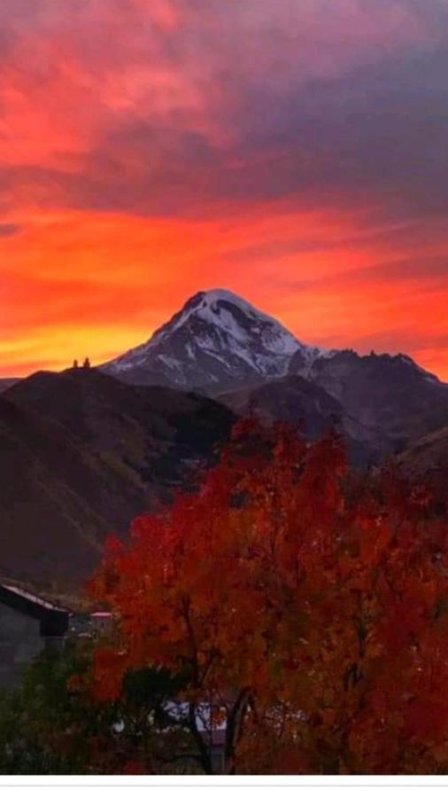 Max Hotel Gogi Alibegashvili Kazbegi Luaran gambar